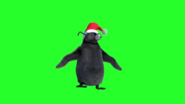Cartoon Penguins Dancing Dressed Christmas Hats Green Background — Stock Video