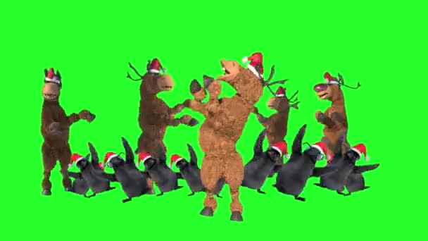 Tekenfilm Dieren Kerstmuts Dansen Groene Achtergrond — Stockvideo