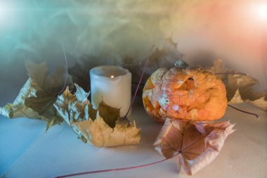 Cadılar Bayramı Balkabağı mum ve sonbahar puslu degrade arka plan üzerinde bırakır