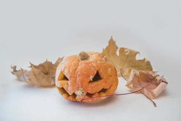 Espeluznante Calabaza Halloween Con Hojas Otoño Sobre Fondo Blanco — Foto de Stock