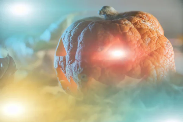 glowing halloween pumpkin with autumn leaves on misty gradient background