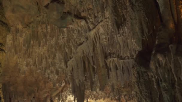 Close Ancient Old Cave Stalactites — Stock Video