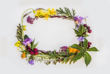 çerçeve çiçek ve bitkilerin arka plan üzerinde