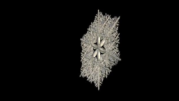 Silver Snowflake Moving Black Background — Stock Video