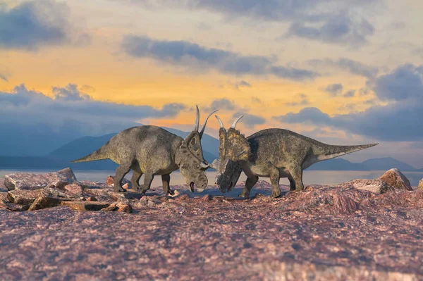 Batalha Dinossauros Renderizar — Fotografia de Stock