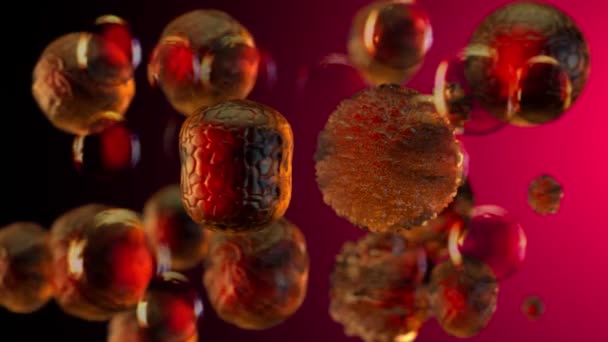Komórki Raka Pochłania Zdrowe Komórki Renderowania — Wideo stockowe