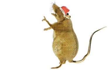bir Noel şapka yeni yıl fare 3D çizimi