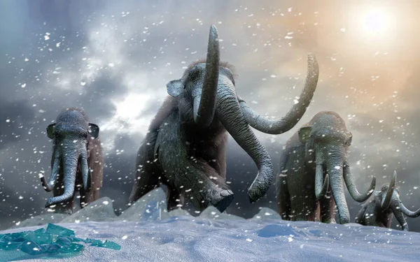 Herd Mammoths Wild Render — Stock Photo, Image