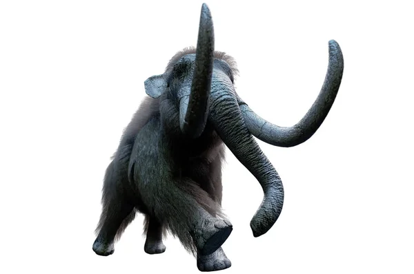 Mamut Fehér Háttér Render — Stock Fotó