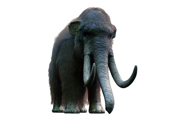 白色背景渲染3D 的长毛象 — 图库照片