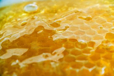 Petek yakın çekim arka planda tatlım