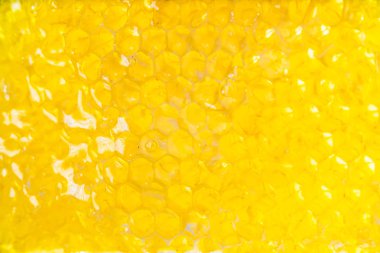 Petek yakın çekim arka planda tatlım