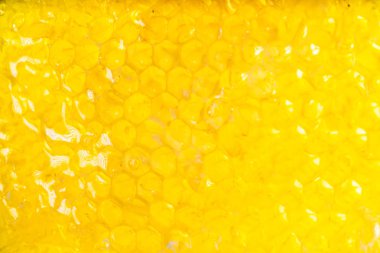 Petek yakın çekim arka planda tatlım