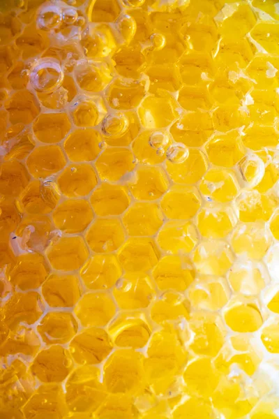 Honung Honeycomb Närbild Bakgrund — Stockfoto