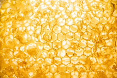 Petek yakın çekim arka planda tatlım