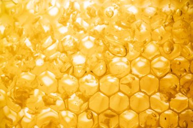 Petek yakın çekim arka planda tatlım