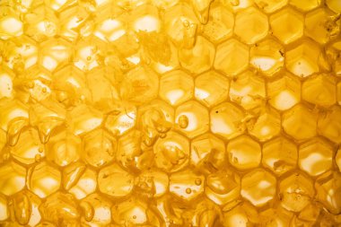 Petek yakın çekim arka planda tatlım