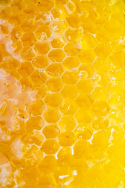 Petek yakın çekim arka planda tatlım