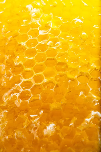 Honung Honeycomb Närbild Bakgrund — Stockfoto