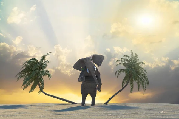 Funny Elephant Odpoczynku Ośrodku Plaży Renderowania — Zdjęcie stockowe