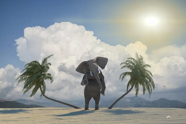 Funny Elephant Odpoczynku Ośrodku Plaży Renderowania — Zdjęcie stockowe