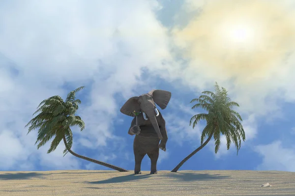 Elefante Engraçado Descansando Resort Praia Renderizar — Fotografia de Stock
