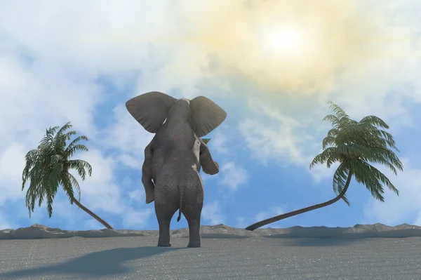 Funny Elephant Odpoczynku Ośrodku Plaży Renderowania — Zdjęcie stockowe