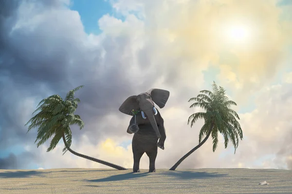 Funny Elephant Odpoczynku Ośrodku Plaży Renderowania — Zdjęcie stockowe