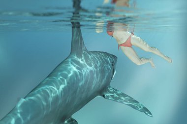 köpekbalığı saldırıları adam su 3d render 