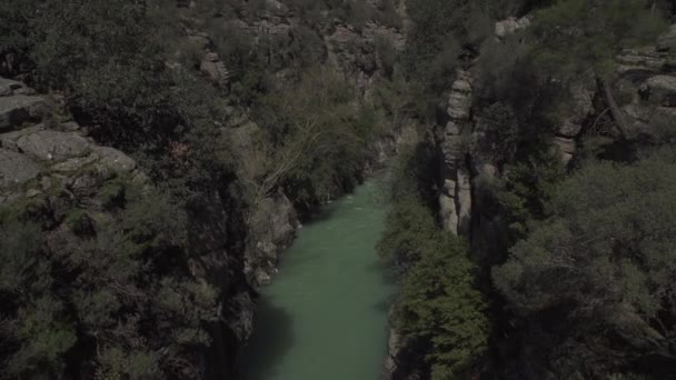 Transmisja Widoku Góry Góry Rzeki — Wideo stockowe