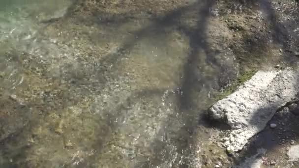 Ruisseau Rivière Montagne Vue Dessus — Video