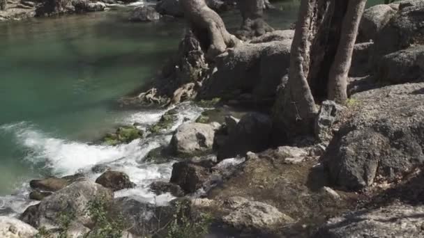 森林中的山河 — 图库视频影像