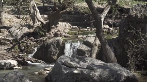 Raging Flow Mountain River Waterfall — Stock Video