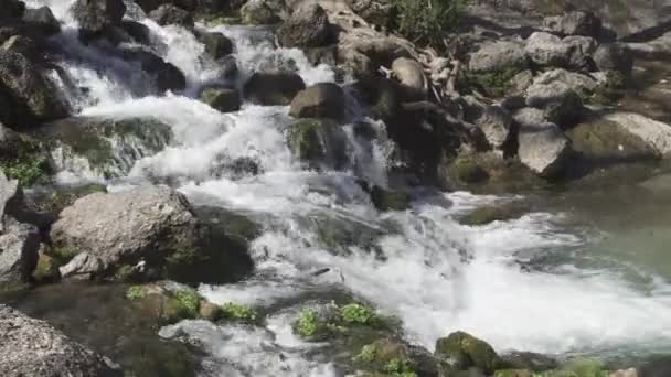 Бурхливий Потік Гірської Річки Водоспад — стокове відео