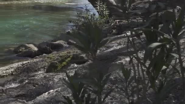 Arroyo Del Río Montaña Bosque — Vídeos de Stock