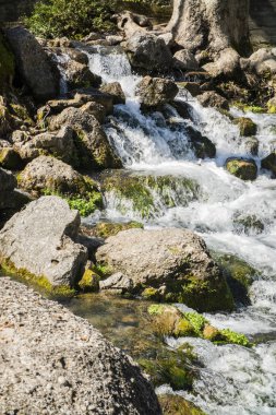 ormandaki nehir dağ dere