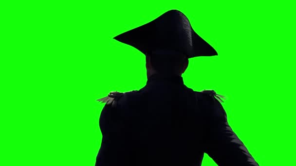 拿破仑 波拿巴 18世纪的军事领袖和政治家渲染3D — 图库视频影像