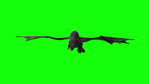 Mosca Del Dragón Render — Vídeo de stock