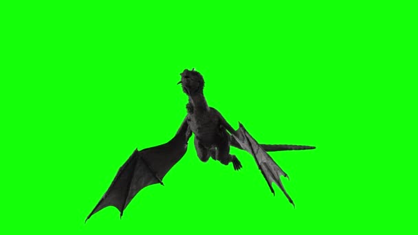 Dragon Fly Render — Stock Video