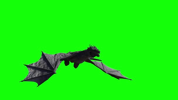 Mosca Del Drago Rendering — Video Stock