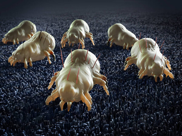 house dust mite 3d render