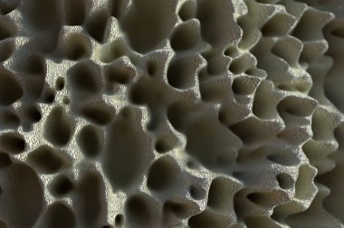 Osteoporoz kemik 3d render içine bakmak
