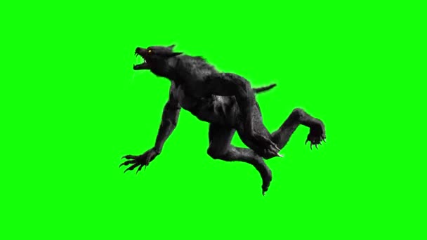 Werewolf Green Background Render — Stock Video