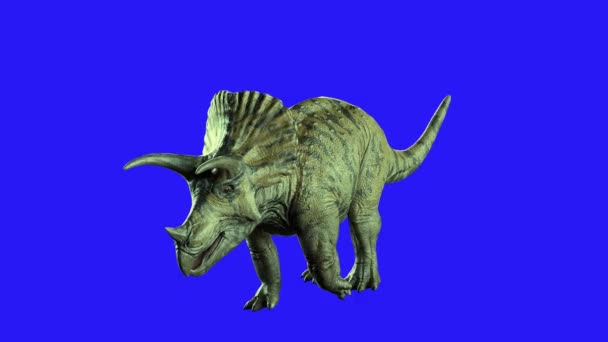 Triceratops Δεινόσαυρος Σκούρο Φόντο Καθιστούν — Αρχείο Βίντεο
