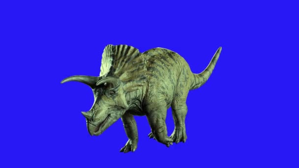 Triceratops Dinosaurier Auf Dunklem Hintergrund Render — Stockvideo