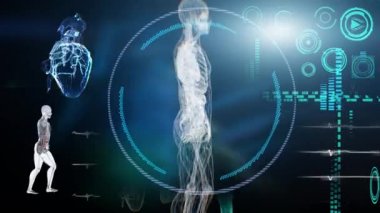 Tıbbi Arayüz, İnsan Erkek Anatomisi 'nin Fütüristik Dokunmatik Ekran Arayüzü' ndeki incelemesi kemik ve organları gösteriyor. Konsept: Tıbbın ve Sağlık Hizmetlerinin Yakın Geleceğinde 3D oluşturma