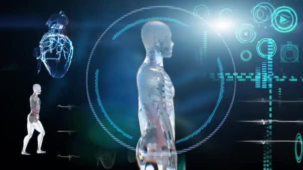 Interfaz Médica Análisis Exploración Anatomía Masculina Humana Interfaz Futurista Pantalla — Vídeo de stock