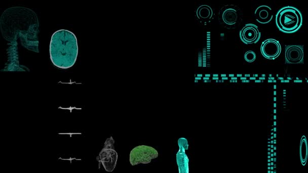 Медичний Інтерфейс Аналіз Сканування Анатомії Людини Футуристичному Сенсорному Екрані Показує — стокове відео
