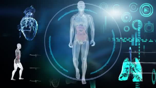 Medische Interface Analyse Van Human Male Anatomy Scan Futuristic Touch — Stockvideo