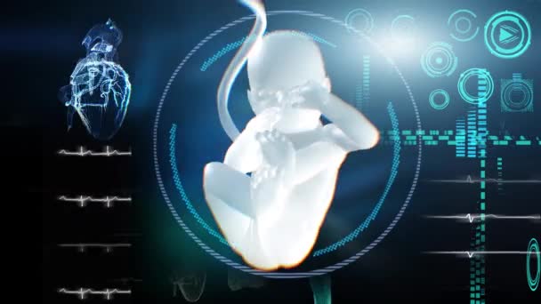 Medical Interface Unborn Child Womb Render — Stock Video